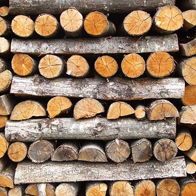 Image of some kiln dried logs